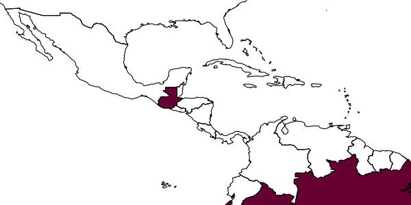 map of Pachodynerus grandis     Willink & Roig-Alsina, 1998